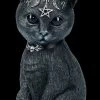 NEMESIS NOW Okkulte Katzenfigur Mit Hörnern - Pawzuph -Figuren Deko Verkauf 2D FS21849 Okkulte Katzenfigur mit Hoernern Pawzuph 1 1280x1280