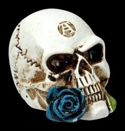 Alchemy Logo Schädel - Alchemist Klein