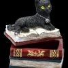 Schatulle - Katze Auf Roten Büchern -Figuren Deko Verkauf 2D FS21978 Schatulle Katze auf roten Buechern 3 1280x1280