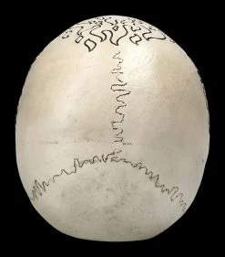 Totenschädel Poker - Royal Flush -Figuren Deko Verkauf 2D FS22587 Totenschaedel Poker Royal Flush 4 1280x1280