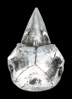 Handspiegel - Rabenschädel Silberfarben -Figuren Deko Verkauf 2D FS22640 Handspiegel Rabenschaedel silberfarben 5 1280x1280