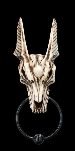 Neue Produkte -Figuren Deko Verkauf 2D FS23375 Turklopfer Anubis Totenkopf 1 1280x1280