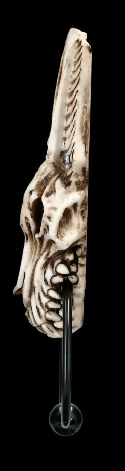 Türklopfer - Anubis Totenkopf -Figuren Deko Verkauf 2D FS23375 Turklopfer Anubis Totenkopf 2 1280x1280