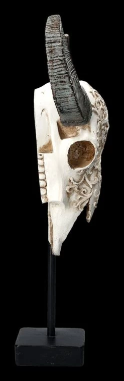 Bullen Totenkopf - Verziert Mit Ständer 13 Bullen Totenkopf - Verziert Mit Ständer -Figuren Deko Verkauf 2D FS23525 Bullen Totenkopf mit Verzierungen und St nder 4 1280x1280