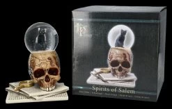 Schneekugel Totenkopf Mit Katze - Spirits Of Salem -Figuren Deko Verkauf 2D FS24217 Schneekugel Totenkopf mit Katze Spirits of Salem 14 1280x1280