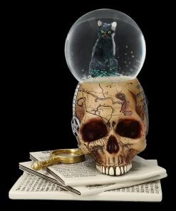 Schneekugel Totenkopf Mit Katze - Spirits Of Salem -Figuren Deko Verkauf 2D FS24217 Schneekugel Totenkopf mit Katze Spirits of Salem 4 1280x1280