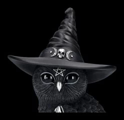 NEMESIS NOW Eulen Figur - Hexe Owlocen Groß -Figuren Deko Verkauf 2D FS24225 Eulen Figur Hexe Owlocen gross 7 1280x1280