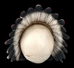 Totenkopf - Indianer Häuptling -Figuren Deko Verkauf 2D FS24377 Totenkopf Indianer Hauptling 4 1280x1280