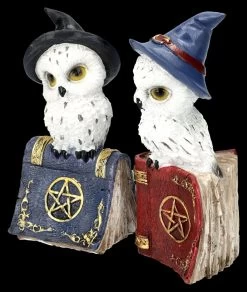 Eulen Figuren Auf Zauberbuch 2er Set -Figuren Deko Verkauf 2D FS25306 Eulen Figuren auf Zauberbuch 2er Set 6 1280x1280