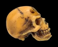 Totenkopf Mini - Lapillus Worry Skull -Figuren Deko Verkauf 2D FS25621 Totenkopf mini Lapillus Worry Skull 4 1280x1280