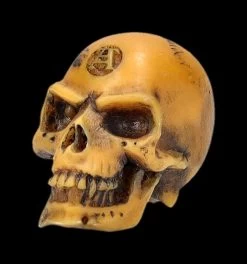 Totenkopf Mini - Lapillus Worry Skull -Figuren Deko Verkauf 2D FS25621 Totenkopf mini Lapillus Worry Skull 6 1280x1280