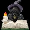 Hexen Katzen Figur - Familiars Spell