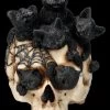Totenkopf Mit Katzenbabys - Cranial Litter