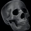 Totenkopf Schwarz - Beweglicher Unterkiefer -Figuren Deko Verkauf 2D FS26931 Totenkopf schwarz Beweglicher Unterkiefer 5 1280x1280