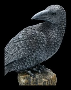 Schwarzer Rabe Sitzt Auf Fels -Figuren Deko Verkauf 2D ML9237 Schwarzer Rabe sitzt auf Fels 2 1280x1280