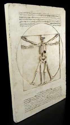 Wandrelief - Vitruvianisches Skelett -Figuren Deko Verkauf 6305 1 skeleton 1 1280x1280