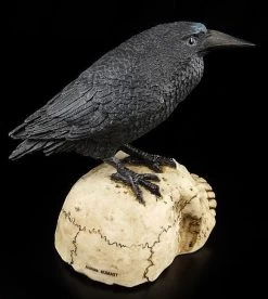 Raben Figur Sitzt Auf Totenschädel -Figuren Deko Verkauf 6384 2 crow skull 2 1280x1280