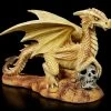 Drachen Figur - Baby Desert Dragon -Figuren Deko Verkauf Drachen Figur Baby Desert Dragon 1280x1280