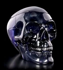 Dunkelblauer Totenkopf Mit Beweglichem Unterkiefer