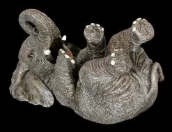 NEMESIS NOW Elefant Als Flaschenhalter -Figuren Deko Verkauf Elefant Als Flaschenhalter 4 1280x1280