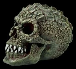 Totenkopf - Reptil Gatorhead -Figuren Deko Verkauf FS21093 Reptil Totenkopf Gatorhead 3 1280x1280