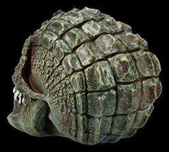 Totenkopf - Reptil Gatorhead -Figuren Deko Verkauf FS21093 Reptil Totenkopf Gatorhead 5 1280x1280