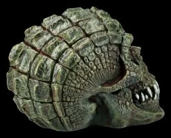 Totenkopf - Reptil Gatorhead -Figuren Deko Verkauf FS21093 Reptil Totenkopf Gatorhead 8 1280x1280