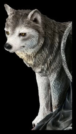 Hexen Figur - Bella Maestra By Nene Thomas -Figuren Deko Verkauf FS21113 Hexen Figur Bella Maestra mit Wolf 12 1280x1280