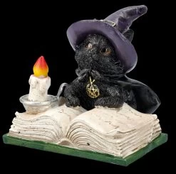 Hexen Katzen Figur - Familiars Spell -Figuren Deko Verkauf FS25746 Hexen Katzen Figur Familiars Spell 2 1280x1280