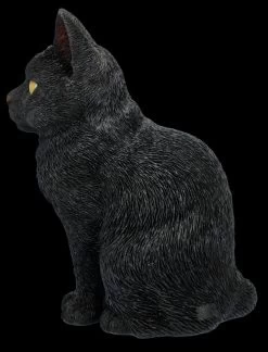 Katzenfigur - Schwarzer Kater -Figuren Deko Verkauf FS26284 Katzenfigur Schwarzer Kater 4 1280x1280