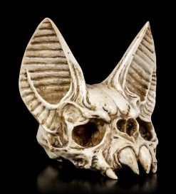 Fledermaus Totenkopf - Vespertilio
