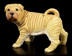 Gartenfigur Hund - Shar-Pei -Figuren Deko Verkauf Gartenfigur Hund Shar Pei Stehend 1 1280x1280
