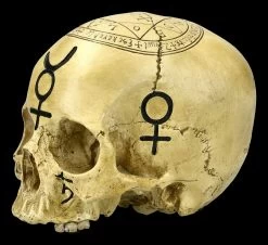 Totenkopf Witchcraft Skull -Figuren Deko Verkauf ML4475 Totenkopf Witchcraft Skull 3 1280x1280