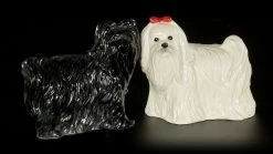 Salz Und Pfeffer Streuer - Malteser Hunde