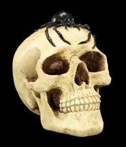 Spardose - Totenkopf Mit Spinne