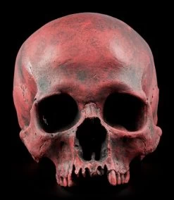 Totenkopf Replikat Frau - Sagus - Karmin Rot Limitiert -Figuren Deko Verkauf Totenkopf Replikat Rot 1576b9b115ac82 1280x1280