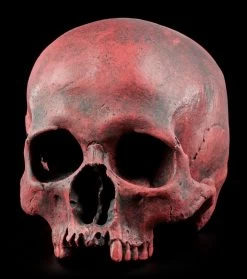 Totenkopf Replikat Frau - Sagus - Karmin Rot Limitiert -Figuren Deko Verkauf Totenkopf Replikat Rot 2576b9b1767dd3 1280x1280