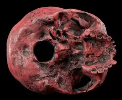 Totenkopf Replikat Frau - Sagus - Karmin Rot Limitiert -Figuren Deko Verkauf Totenkopf Replikat Rot 5576b9b2bb7540 1280x1280