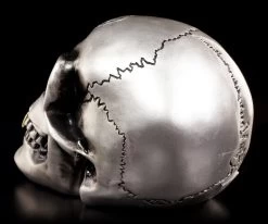 Alchemy Totenkopf - Metallfarbener Alchemist -Figuren Deko Verkauf Totenkopf Silber 3 1280x1280